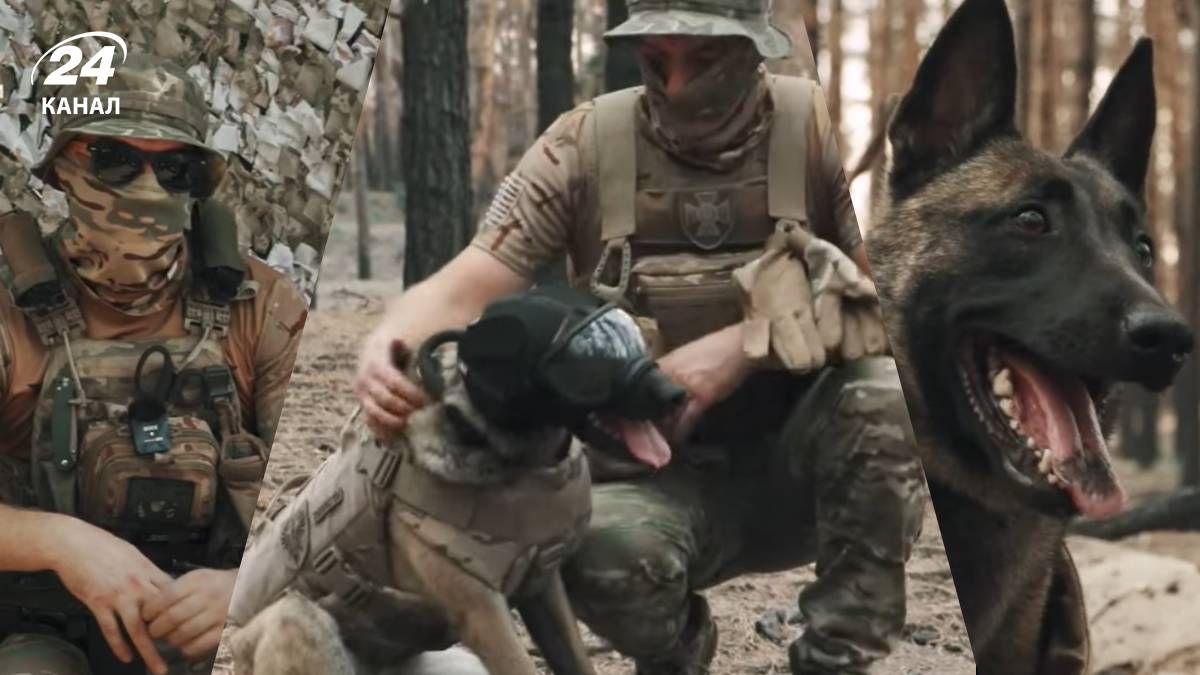 Як сапер Кінолог разом з бельгійською вівчаркою Баді виконують небезпечну роботу на Куп'янщині