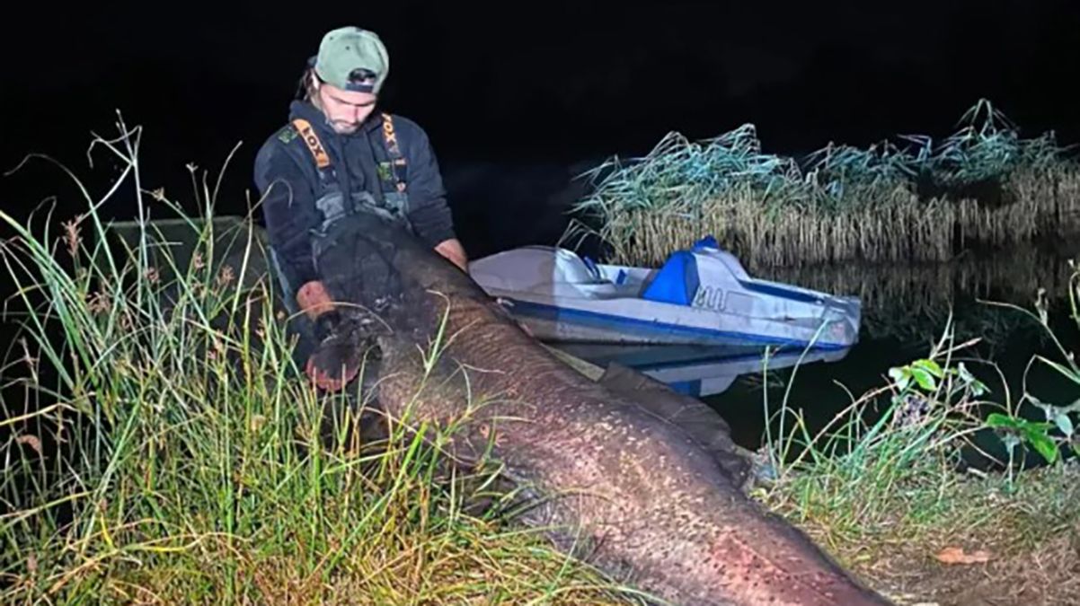 Пара з Британії зловала рекордно велику рибу - як вона виглядає Пара з Британії зловала рекордно велику рибу - як вона виглядає