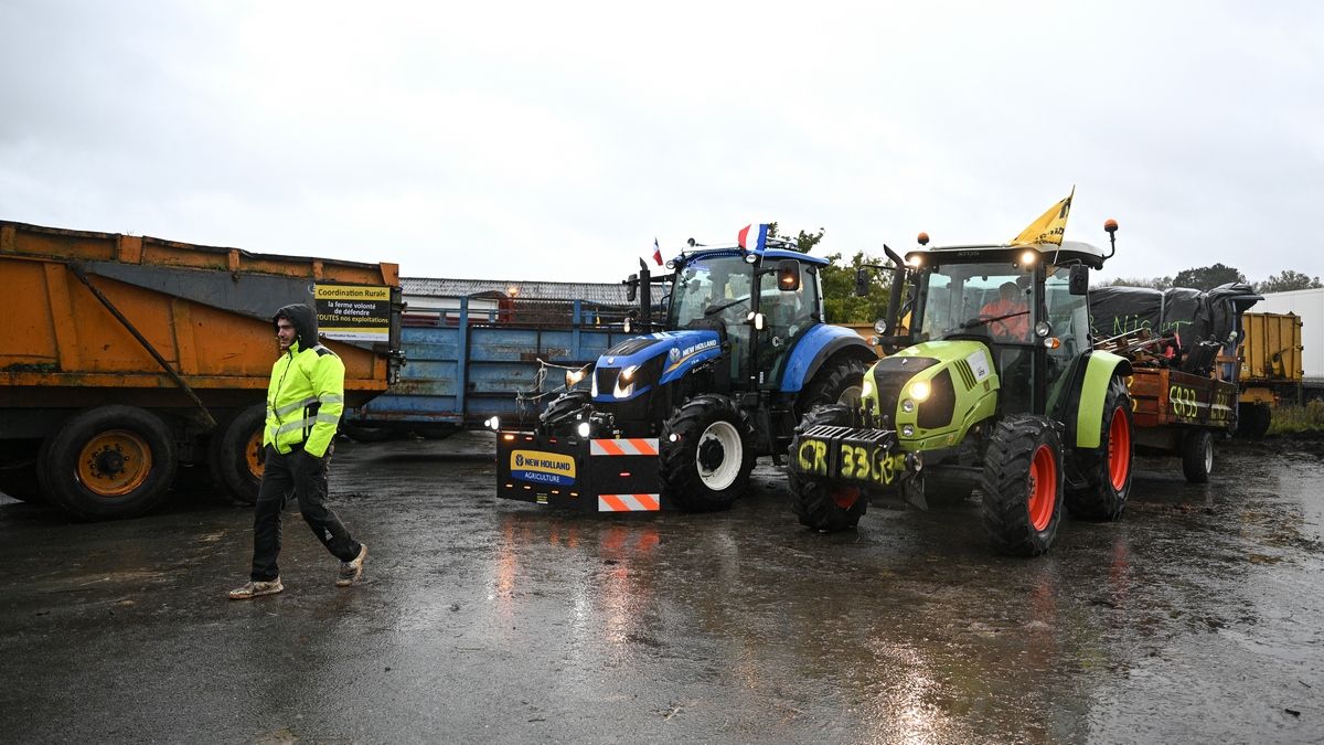 Польские фермеры боятся конкуренции Польские фермеры боятся конкуренции