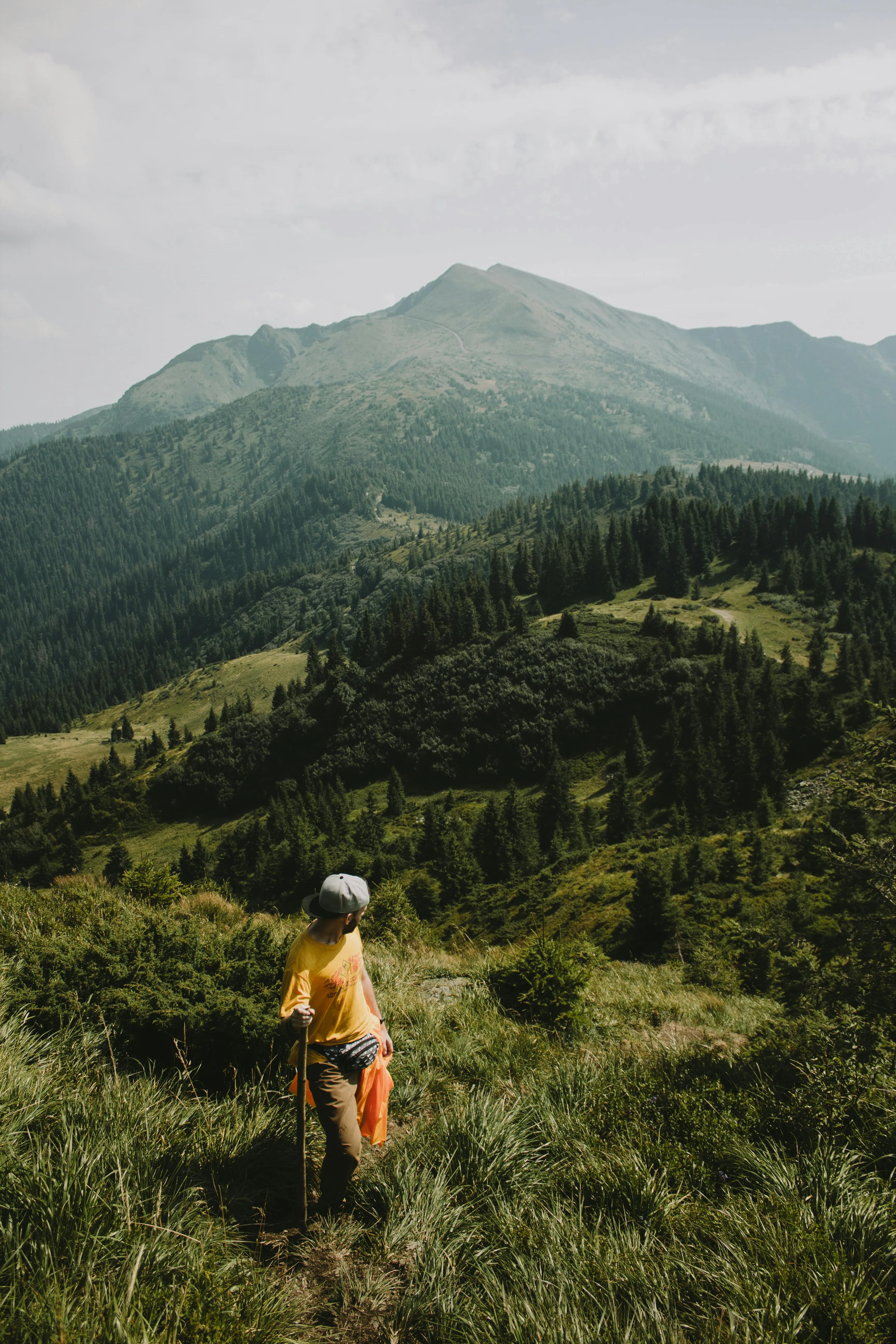 Карпаты Карпаты