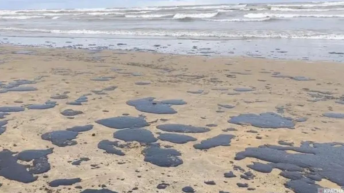 Грозит ли разлив нефти в Черном море Одессе и Николаеву: в ВМС и Центре экологии ответили - 24 Канал Грозит ли разлив нефти в Черном море Одессе и Николаеву: в ВМС и Центре экологии ответили - 24 Канал