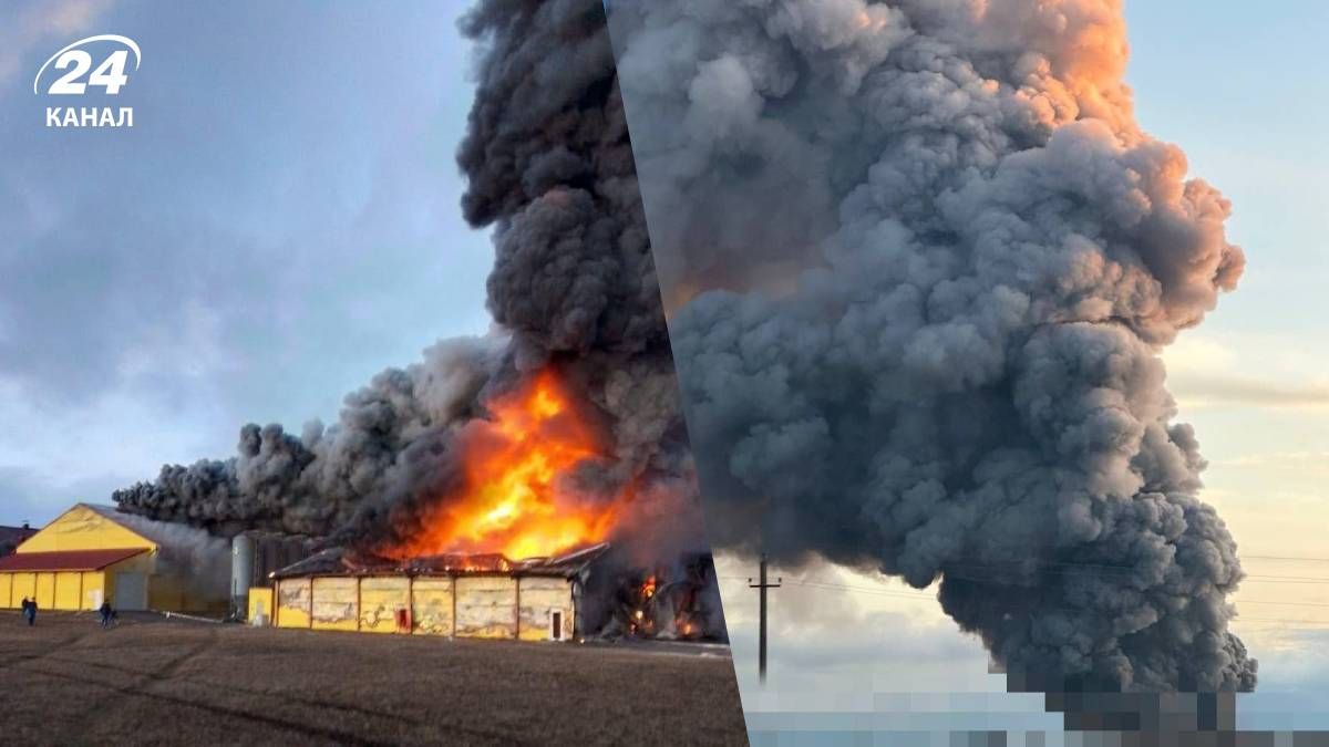У Курській області палала птахофабрика імовірно через удар дронами У Курській області палала птахофабрика імовірно через удар дронами
