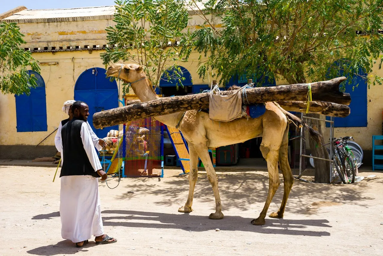 Эритрея Эритрея