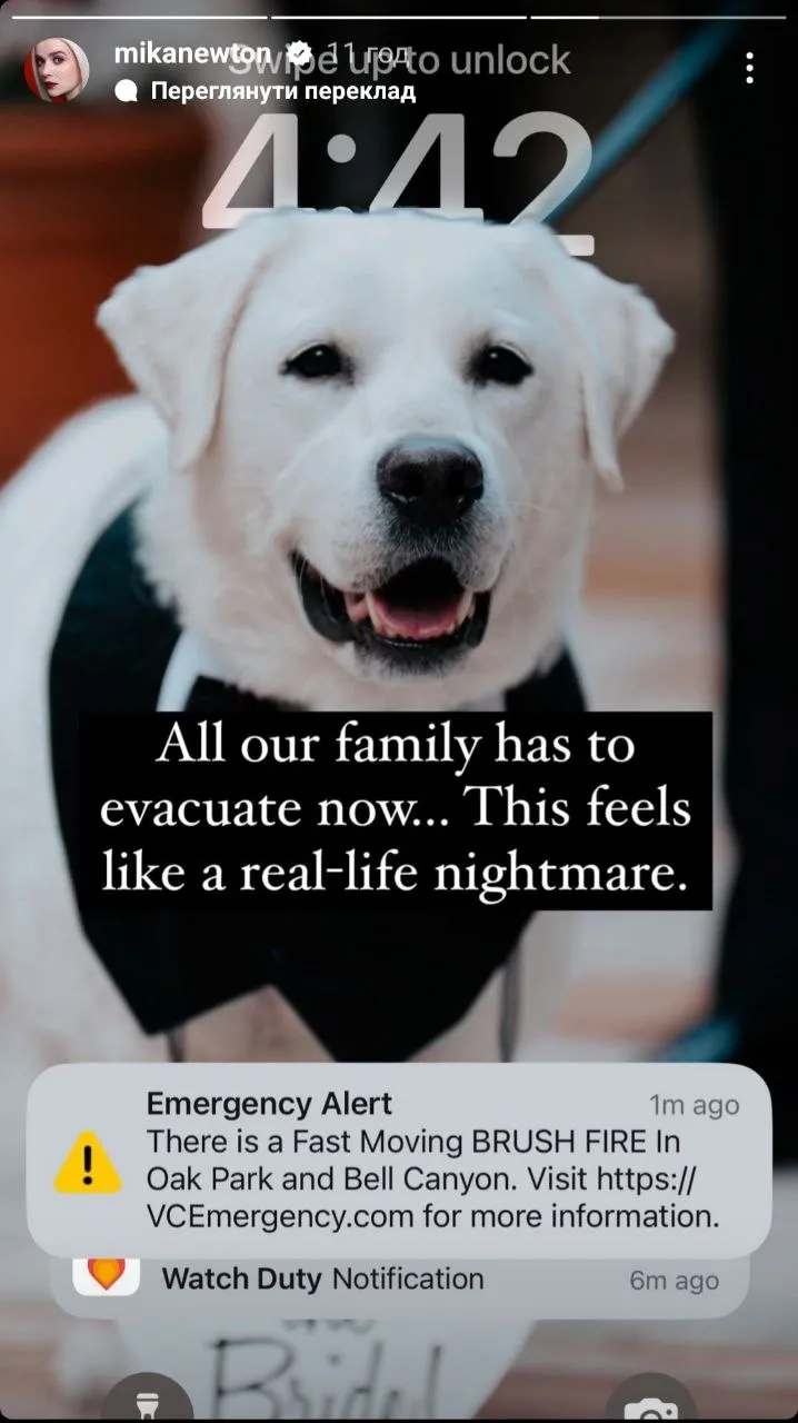 Міка Ньютон Міка Ньютон