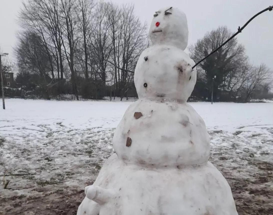 Який вигляд мав сніговик Який вигляд мав сніговик