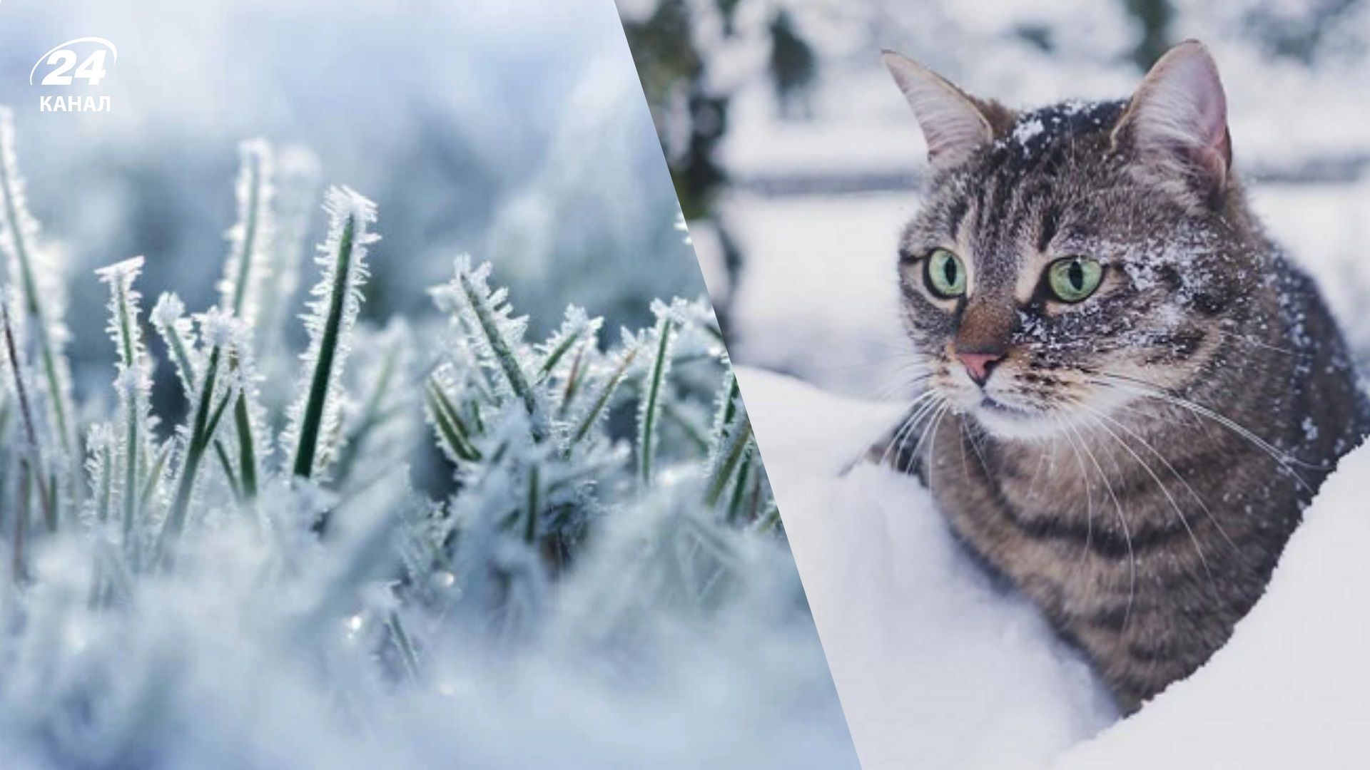 прогноз погоды на 11 января - 24 Канал прогноз погоды на 11 января - 24 Канал