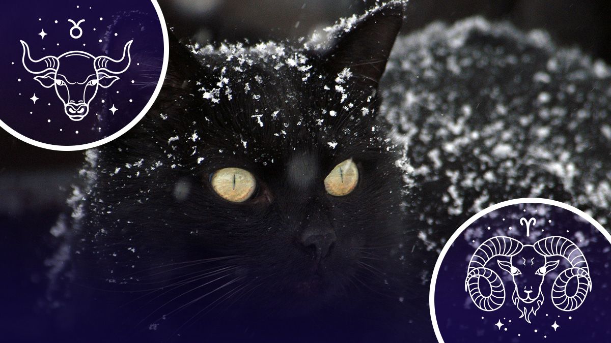 У кого долго продлится черная полоса в жизни - гороскоп У кого долго продлится черная полоса в жизни - гороскоп