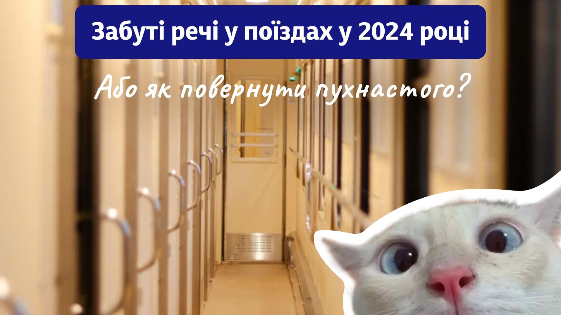 Какие вещи чаще всего забывали в поездах Укрзализныци - интересная подборка Какие вещи чаще всего забывали в поездах Укрзализныци - интересная подборка