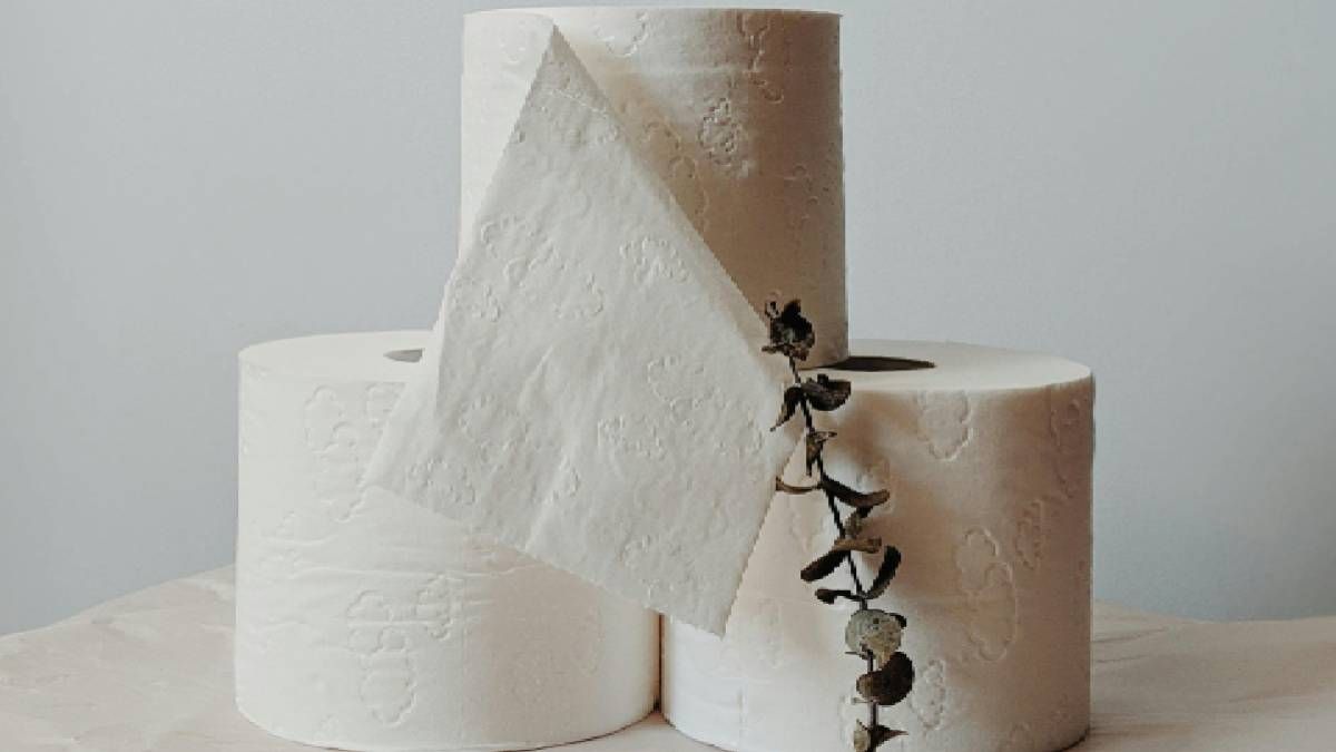 Картонні рулони туалетного паперу стали неймовірним елементом декору кухні Картонні рулони туалетного паперу стали неймовірним елементом декору кухні