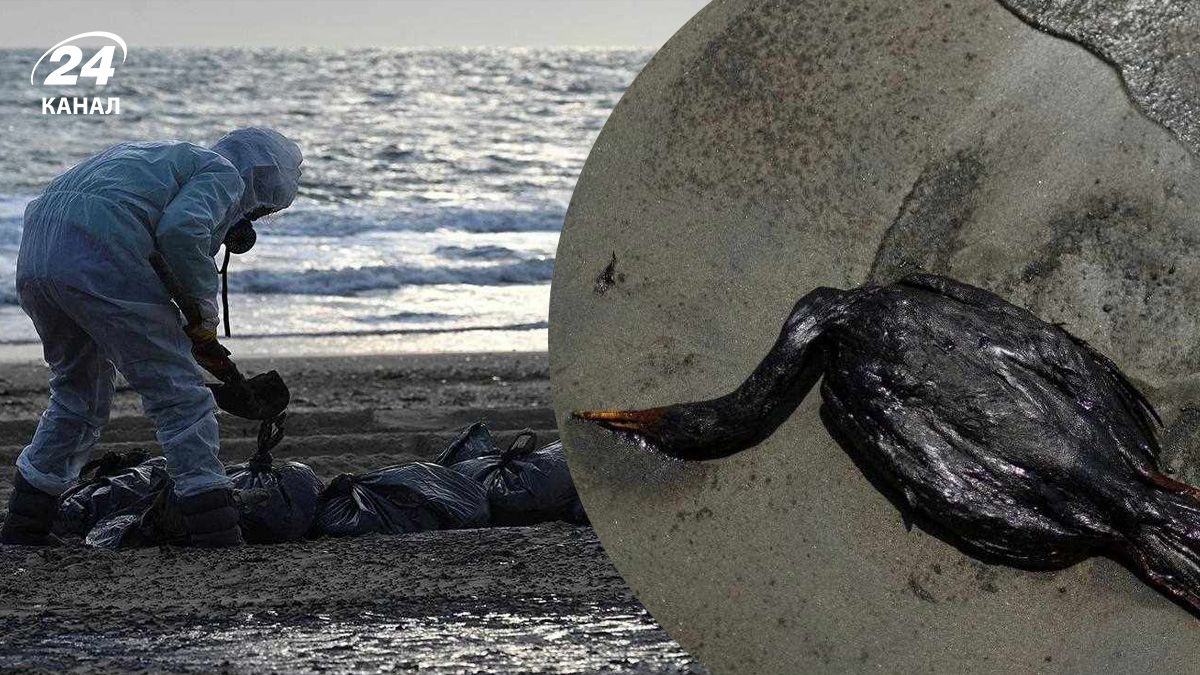 Из-за аварии российских танкеров в Черном море произошел выброс мазута Из-за аварии российских танкеров в Черном море произошел выброс мазута