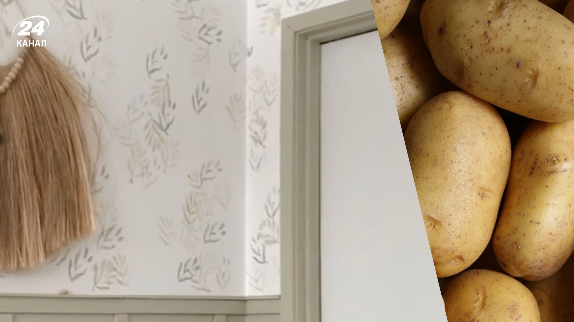 Креативний дизайн стін за допомогою однієї картоплини Креативний дизайн стін за допомогою однієї картоплини