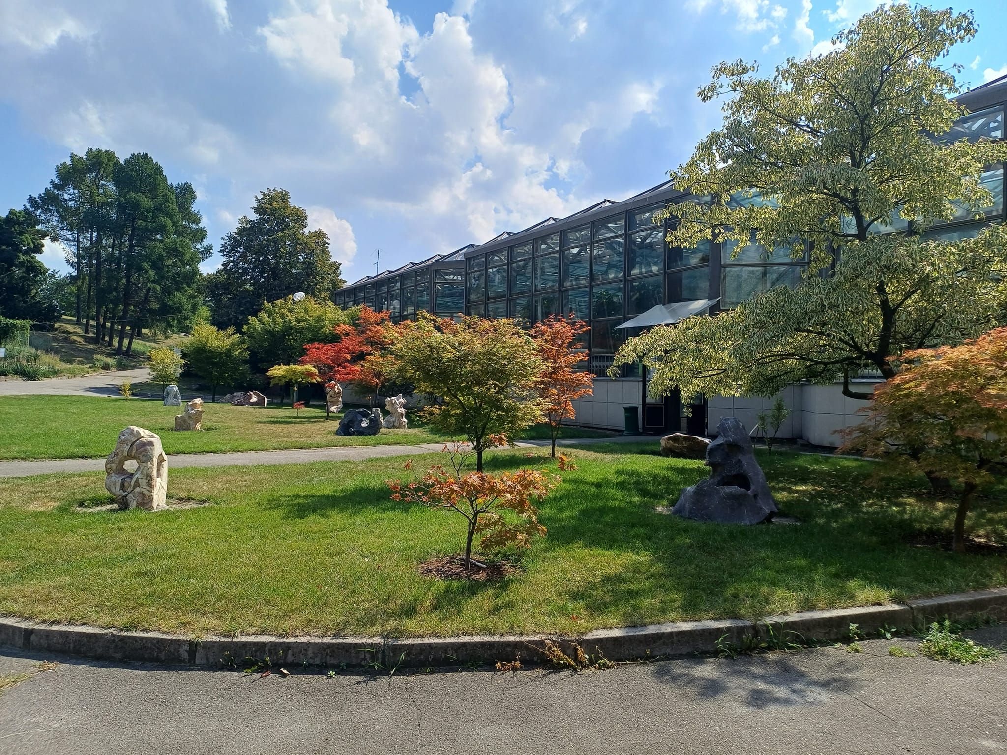 Ботсад Києва потрапив у скандал Ботсад Києва потрапив у скандал