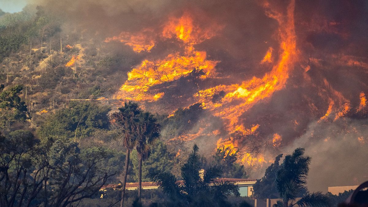Какова причина масштабных пожаров в Калифорнии Какова причина масштабных пожаров в Калифорнии