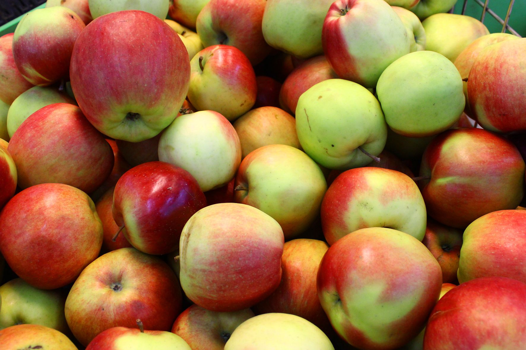 Качественные яблоки дорожают Качественные яблоки дорожают