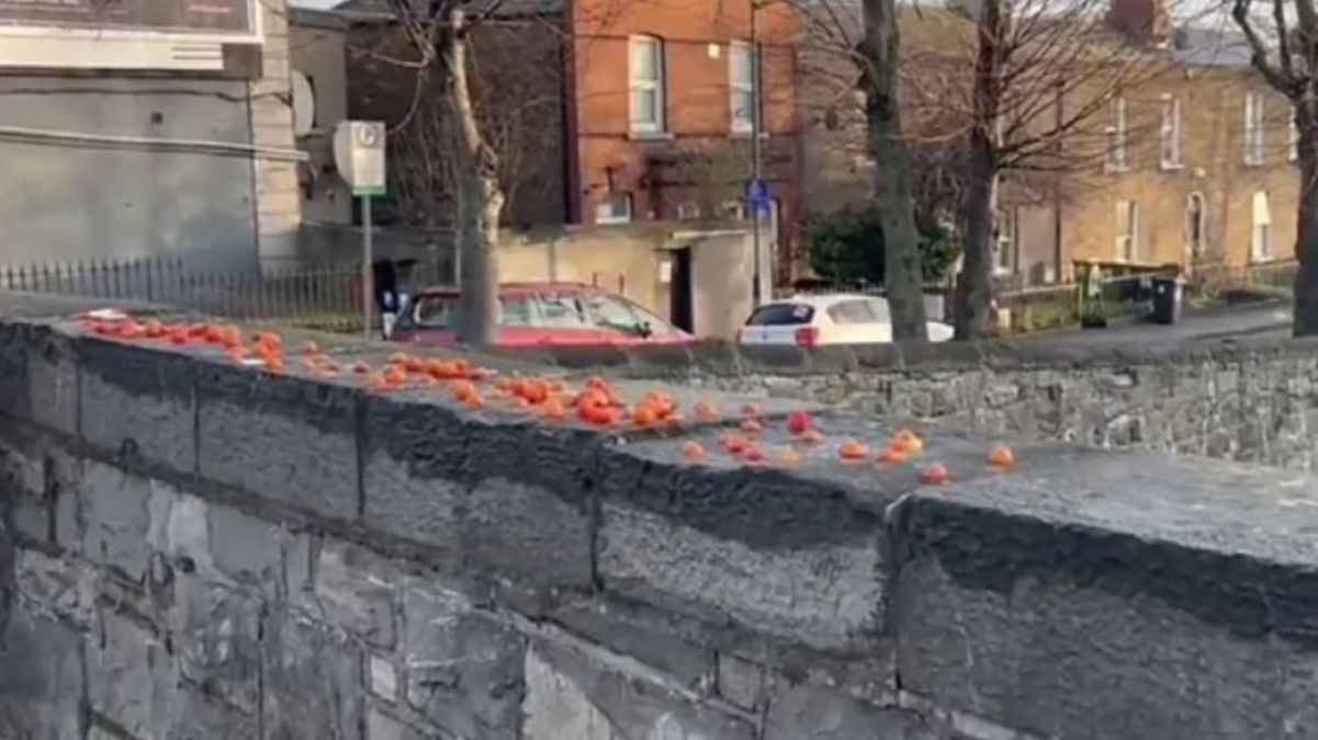 На мосту в Дублине начали появляться помидоры – что об этом известно На мосту в Дублине начали появляться помидоры – что об этом известно