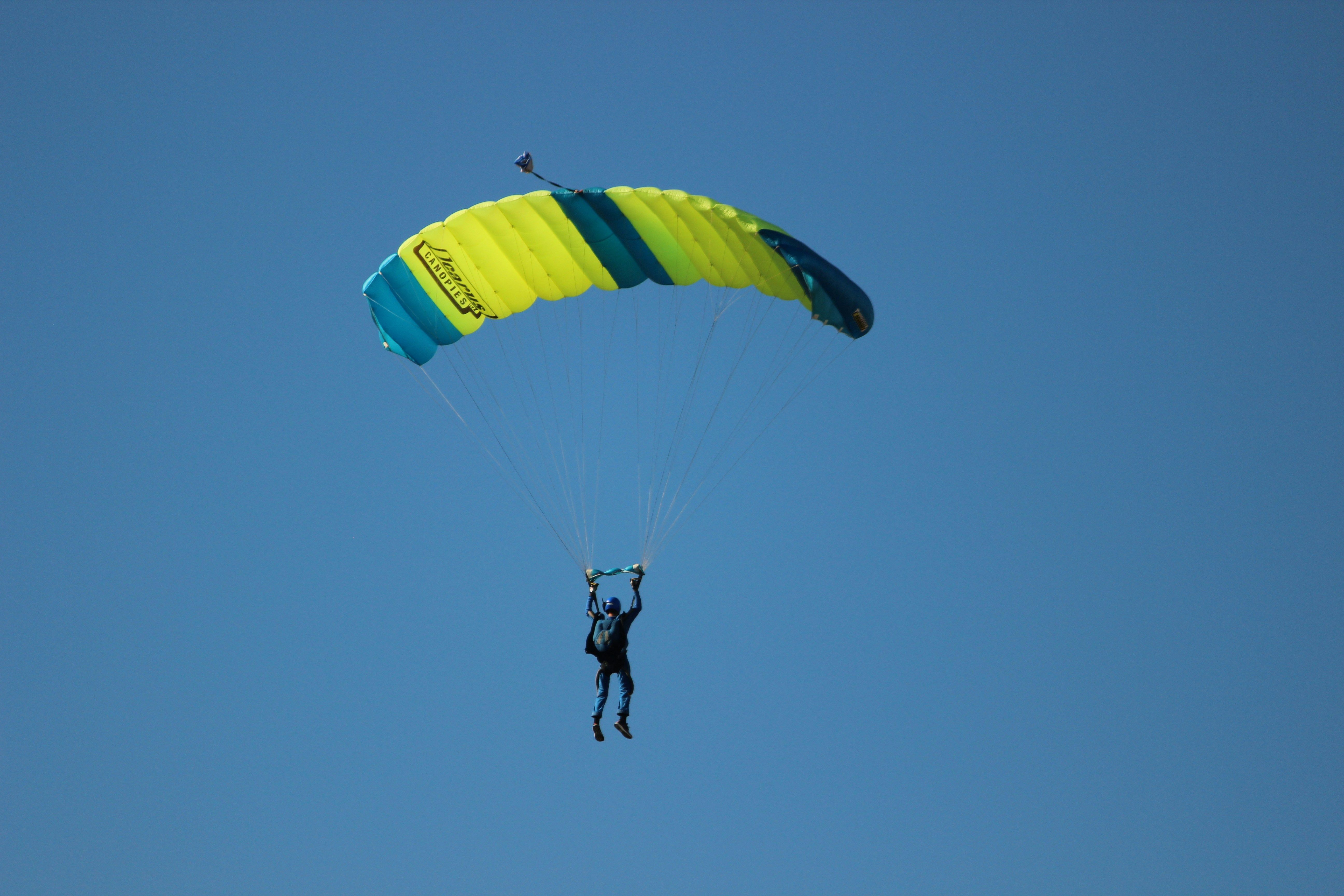 В Нидерландах парашютист случайно приземлился в зоопарк - куда он попал В Нидерландах парашютист случайно приземлился в зоопарк - куда он попал