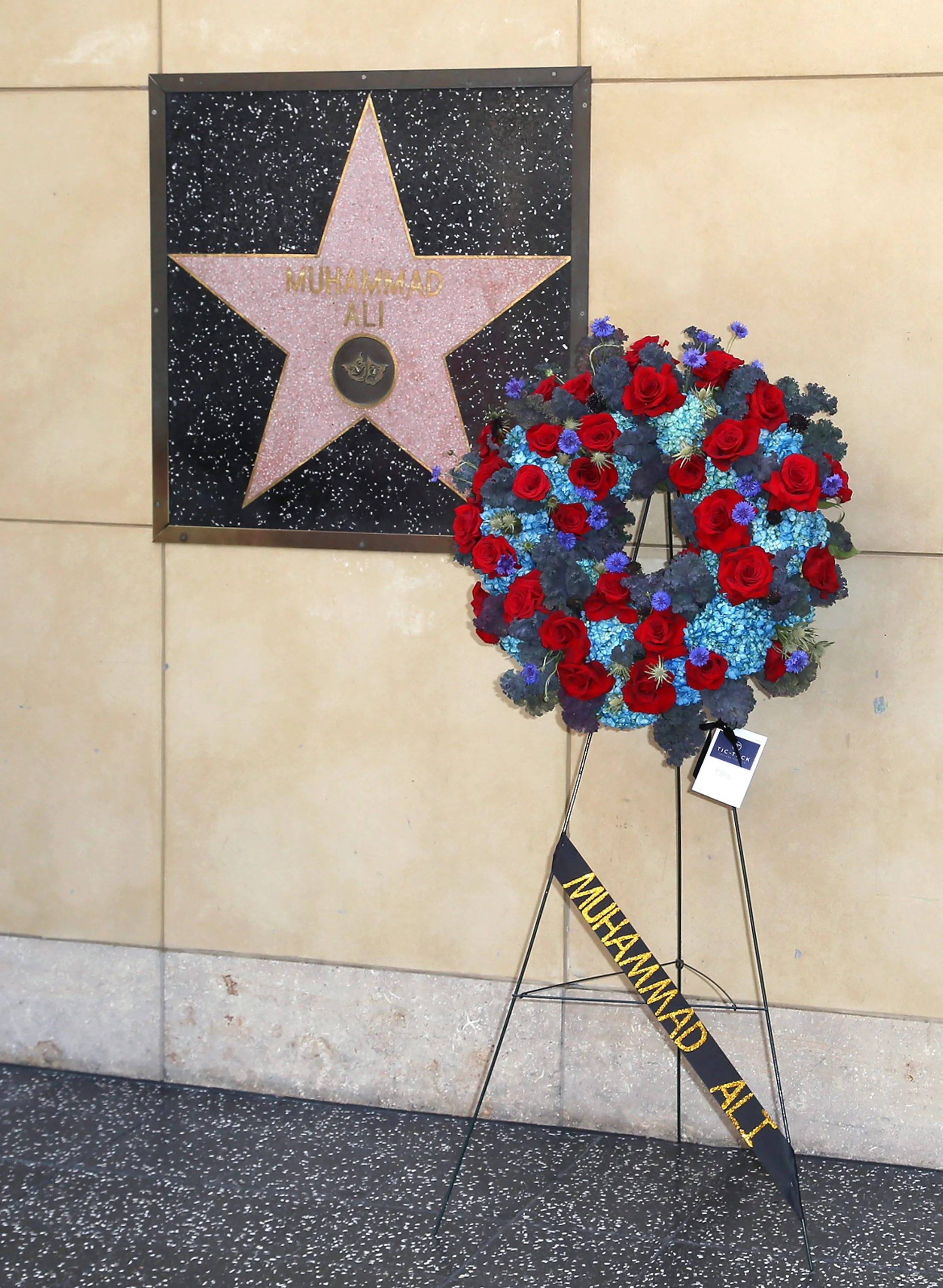 Зірка Мухаммеда Алі розміщена на стіні театру Зірка Мухаммеда Алі розміщена на стіні театру