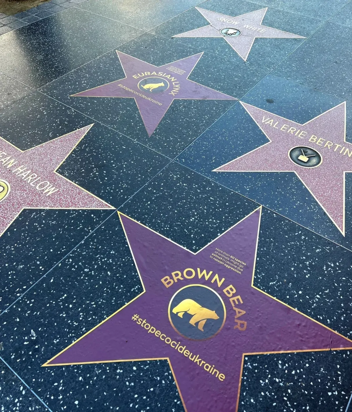 Українські активісти розмістили на Алеї слави наліпки з тваринами Українські активісти розмістили на Алеї слави наліпки з тваринами