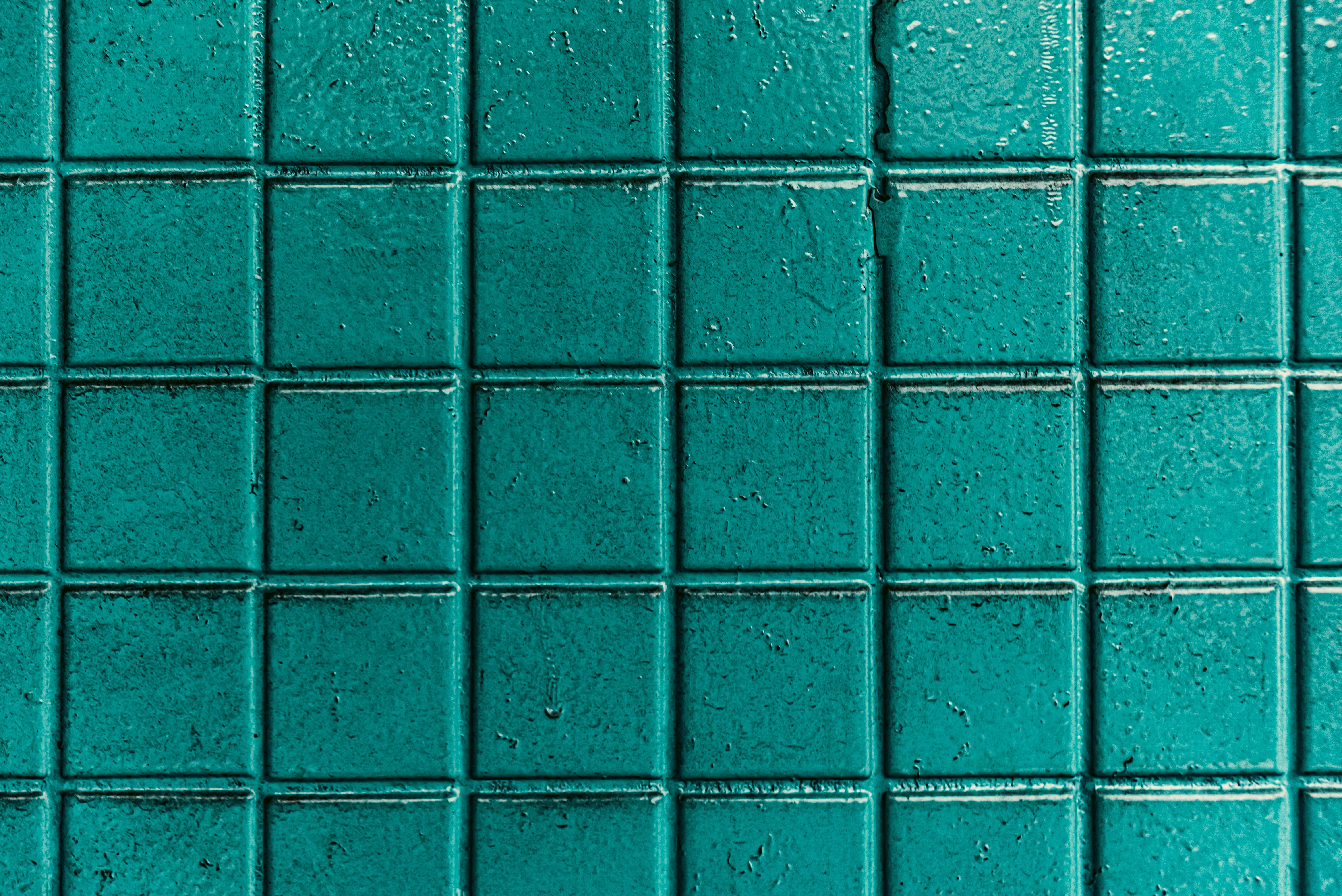 Власники будинку знайшли стару плитку під килимом Власники будинку знайшли стару плитку під килимом