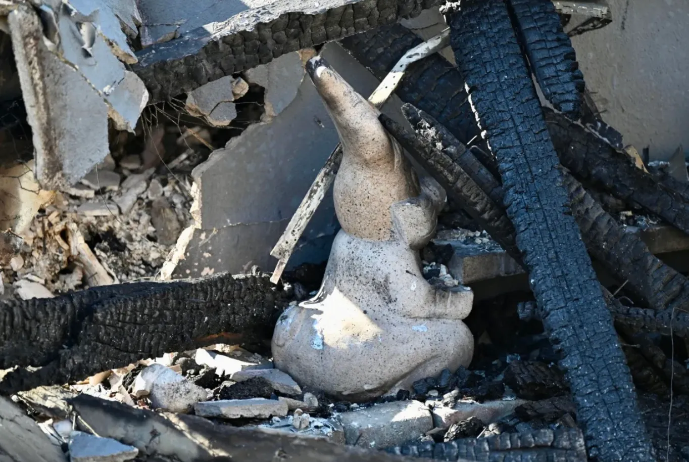 Музей кроликов сгорел почти дотла Музей кроликов сгорел почти дотла