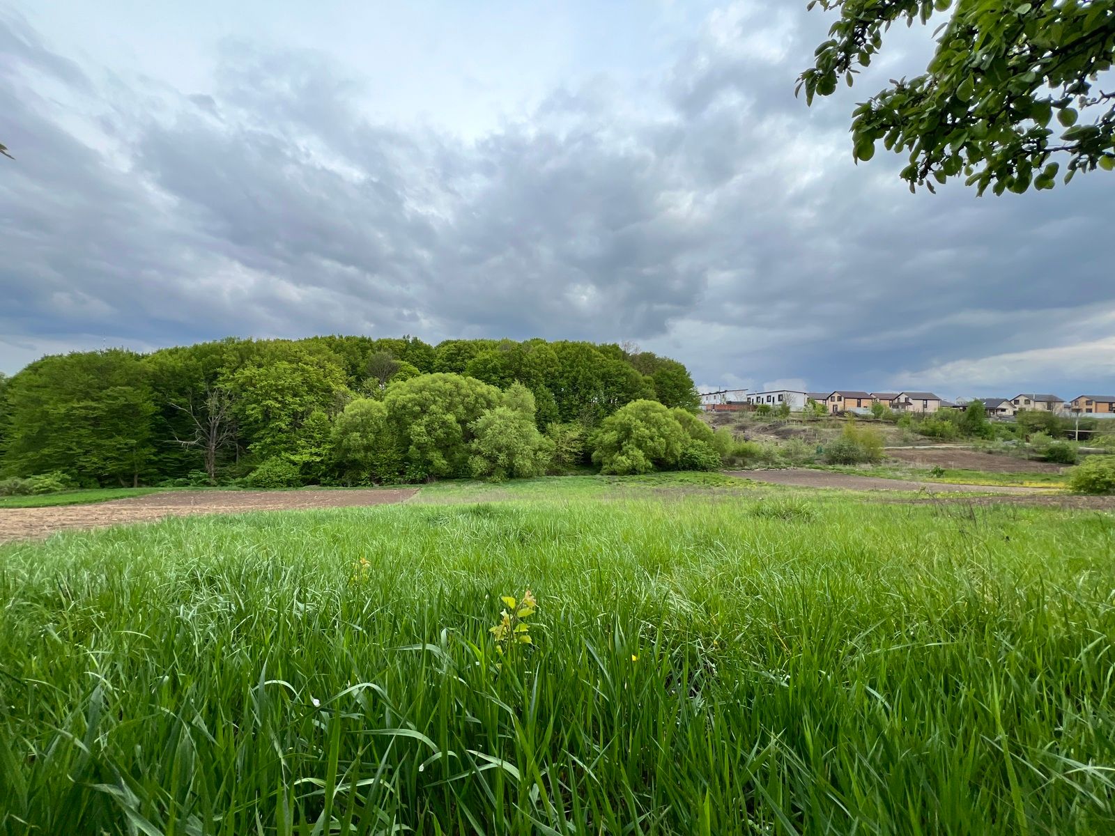 Какова стоимость земли в январе Какова стоимость земли в январе