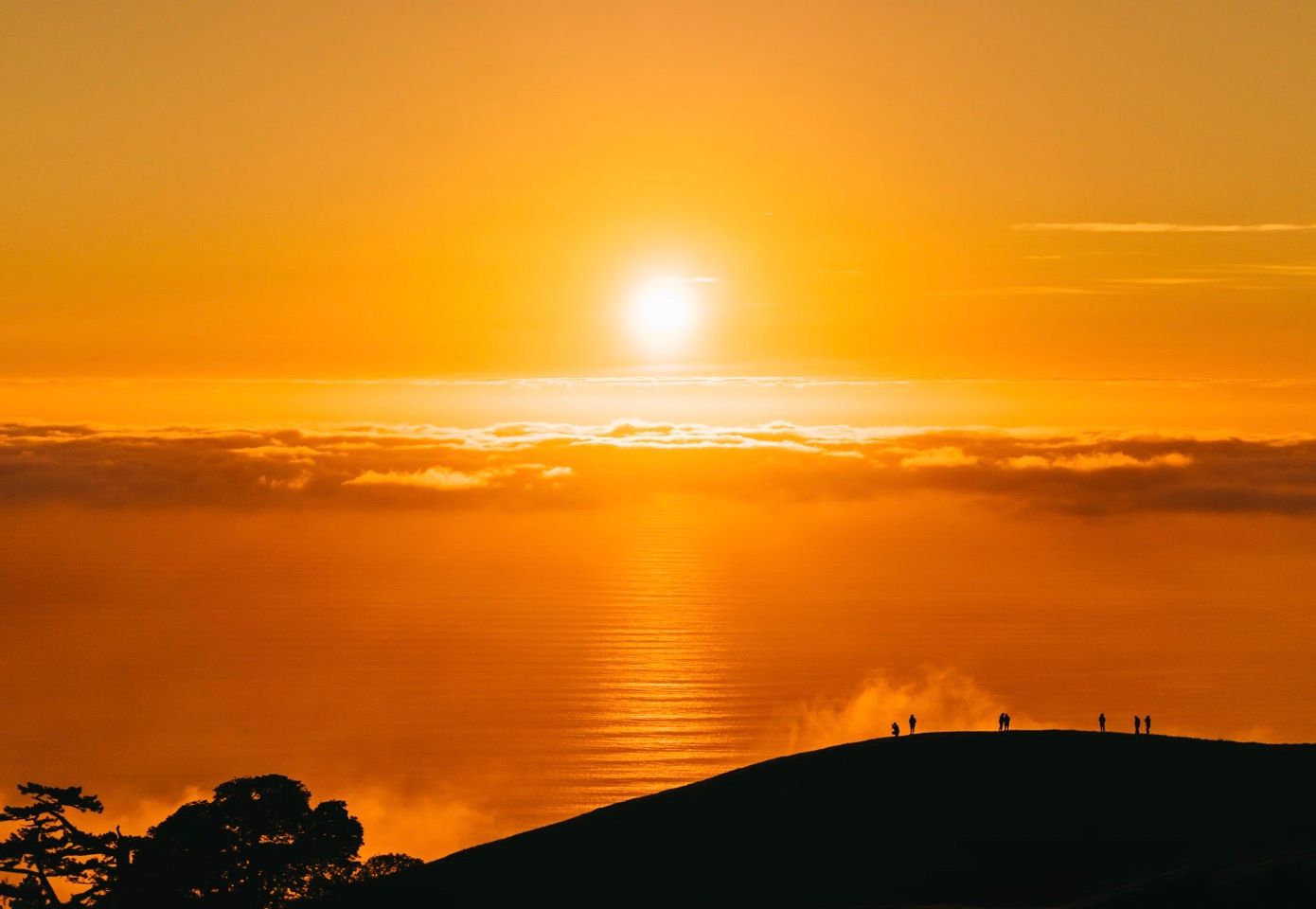 Юг Испании продолжает страдать от засухи Юг Испании продолжает страдать от засухи