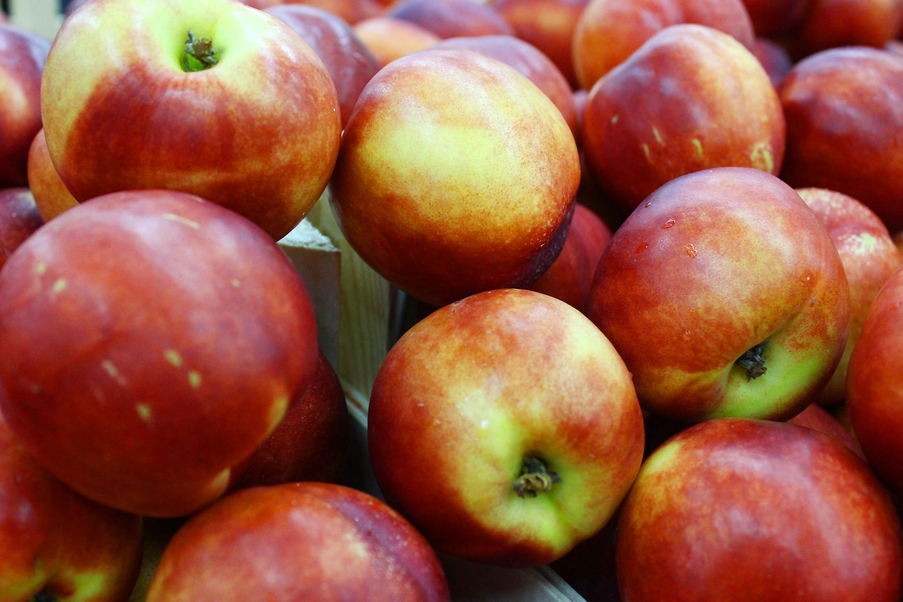 Що буде з цінами на яблука Що буде з цінами на яблука