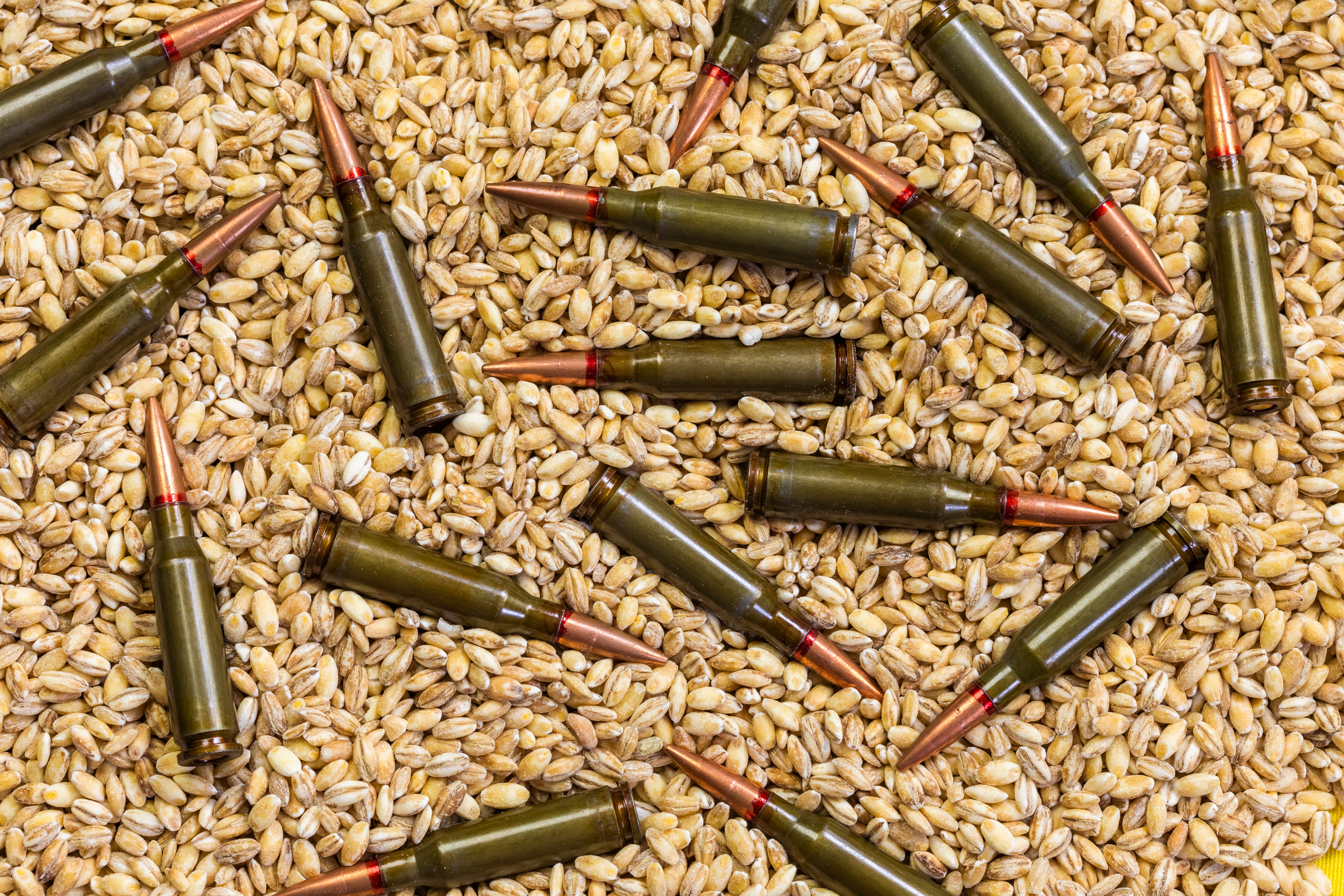 Украинское зерно Украинское зерно