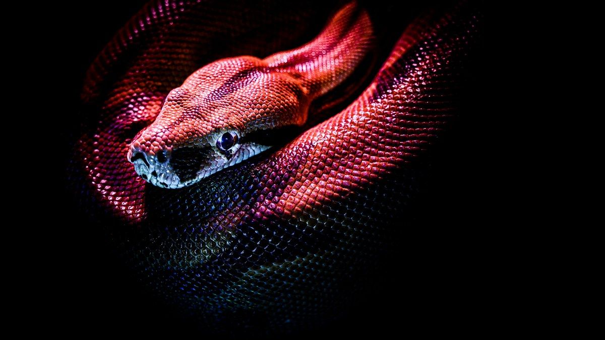 Ученые создали новый метод противодействия змеиным ядам с помощью ИИ