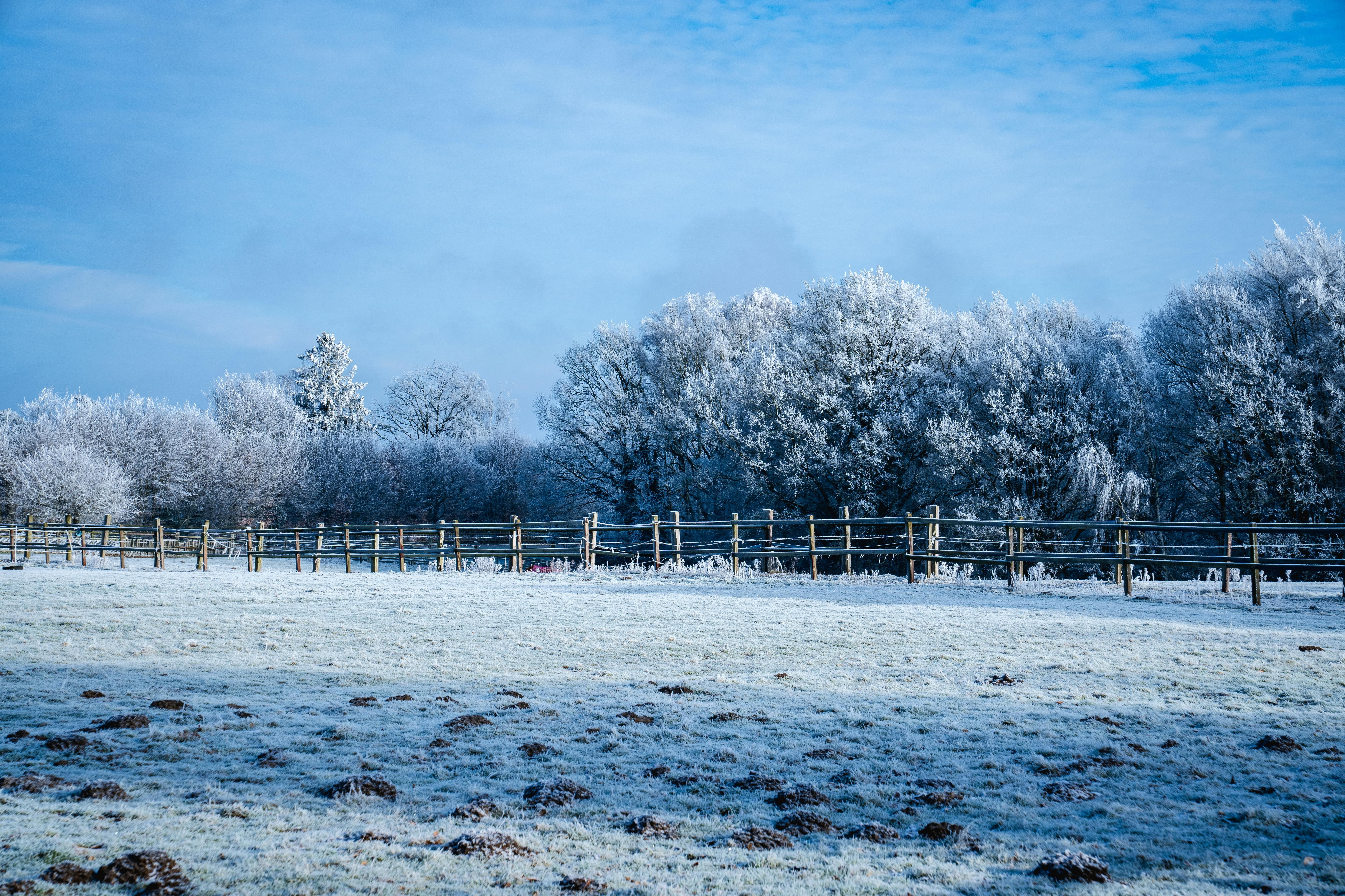 4 На Львовщине прогнозируют гололед - 24 Канал 4 На Львовщине прогнозируют гололед - 24 Канал