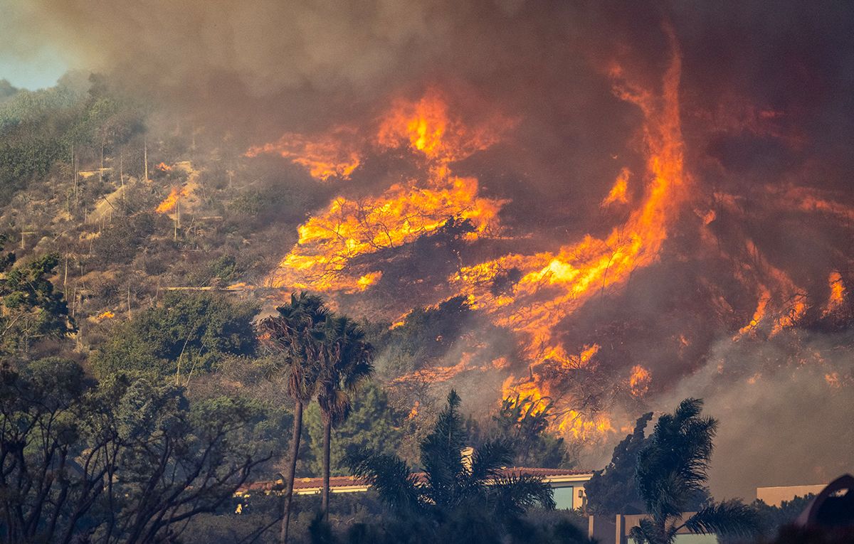 Пожар в Лос-Анджелесе Пожар в Лос-Анджелесе