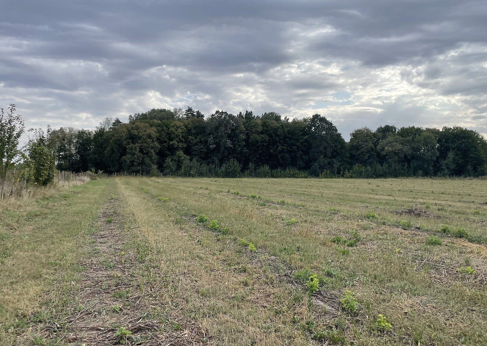 Какую землю можно приватизировать Какую землю можно приватизировать