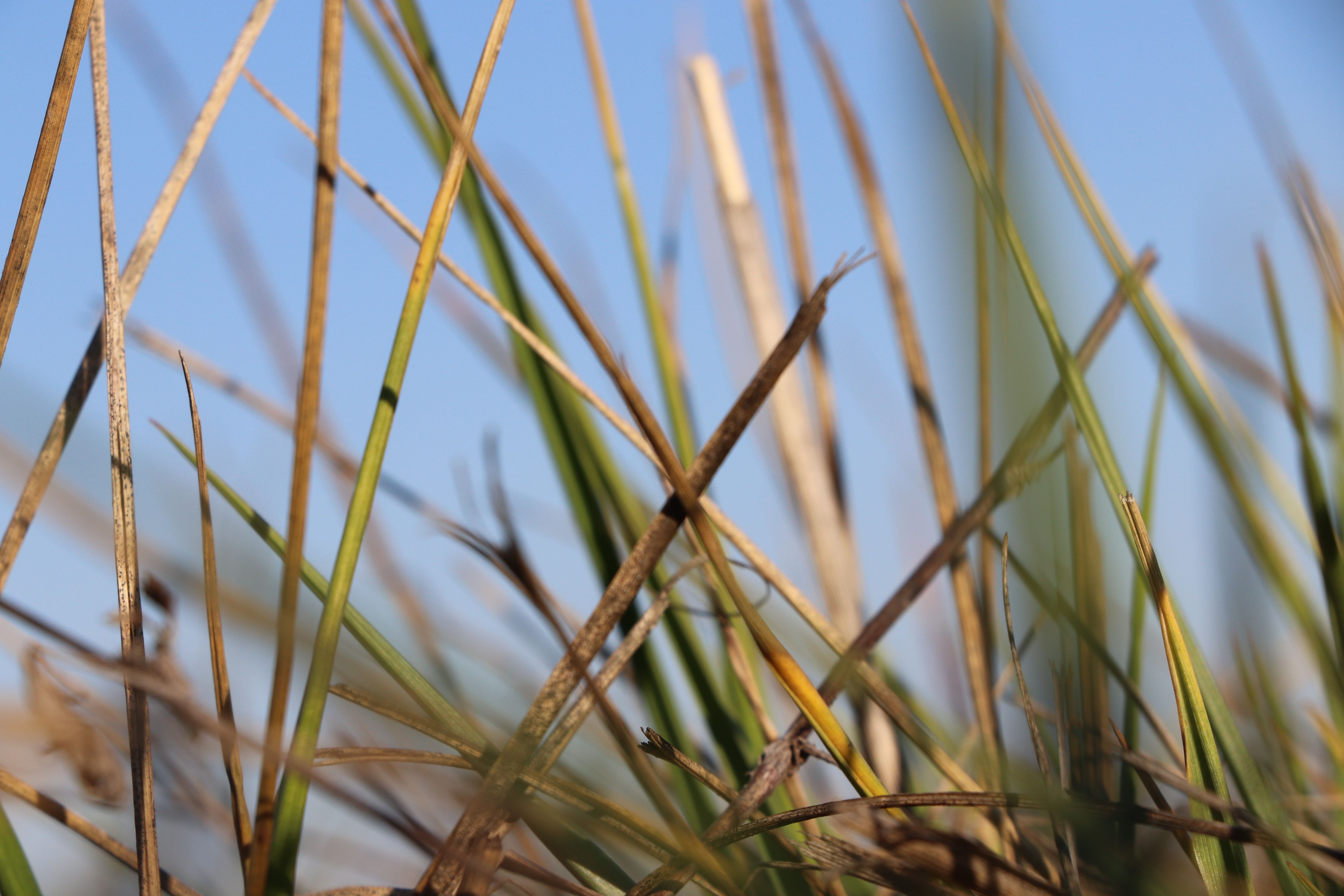 Потепление в Украине Потепление в Украине