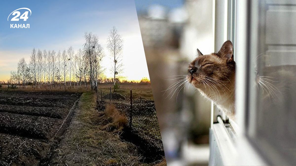 Погода в Україні 20 січня Погода в Україні 20 січня