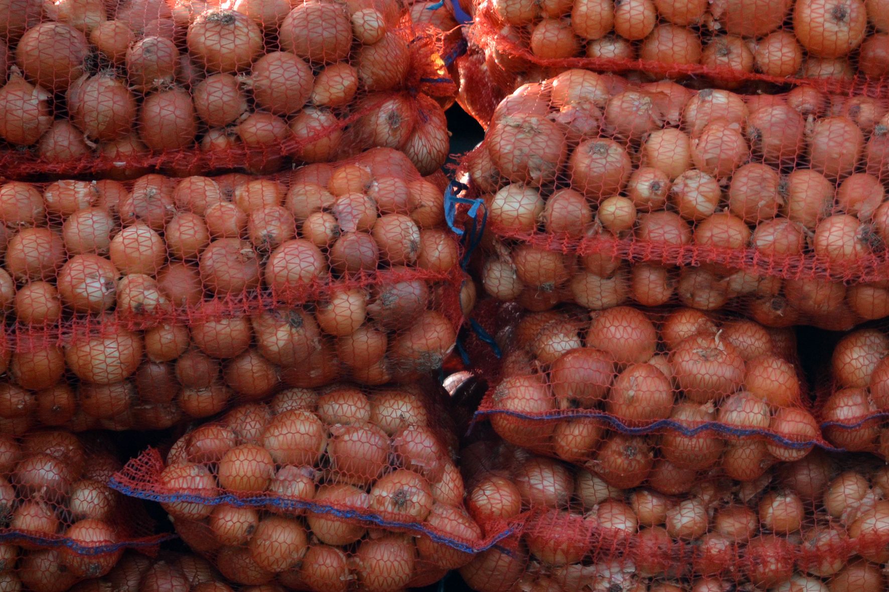 Цены на лук падают на фоне падения цен на лук Цены на лук падают на фоне падения цен на лук