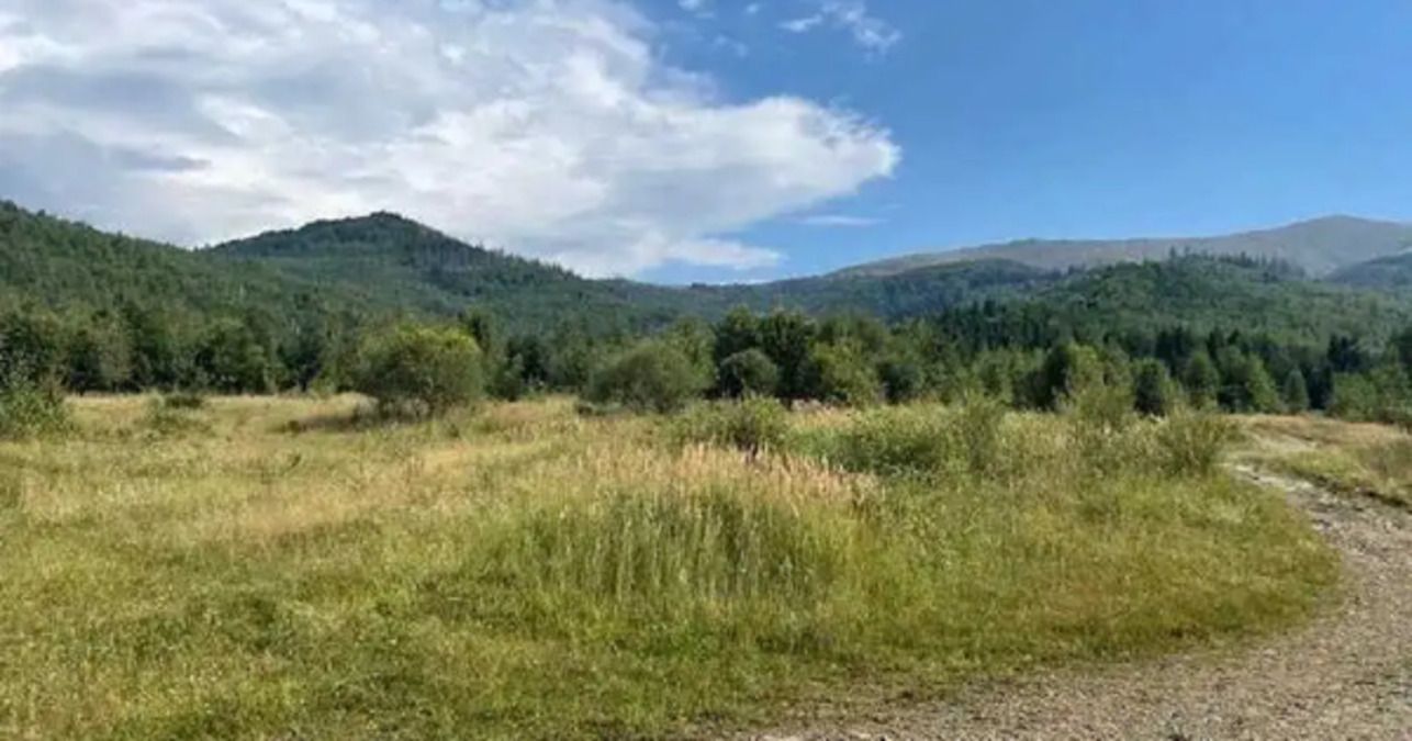 АРМА не може продати 494 земельні ділянки на Боржаві й за чверть ціни, – ЗМІ - 24 Канал АРМА не може продати 494 земельні ділянки на Боржаві й за чверть ціни, – ЗМІ - 24 Канал