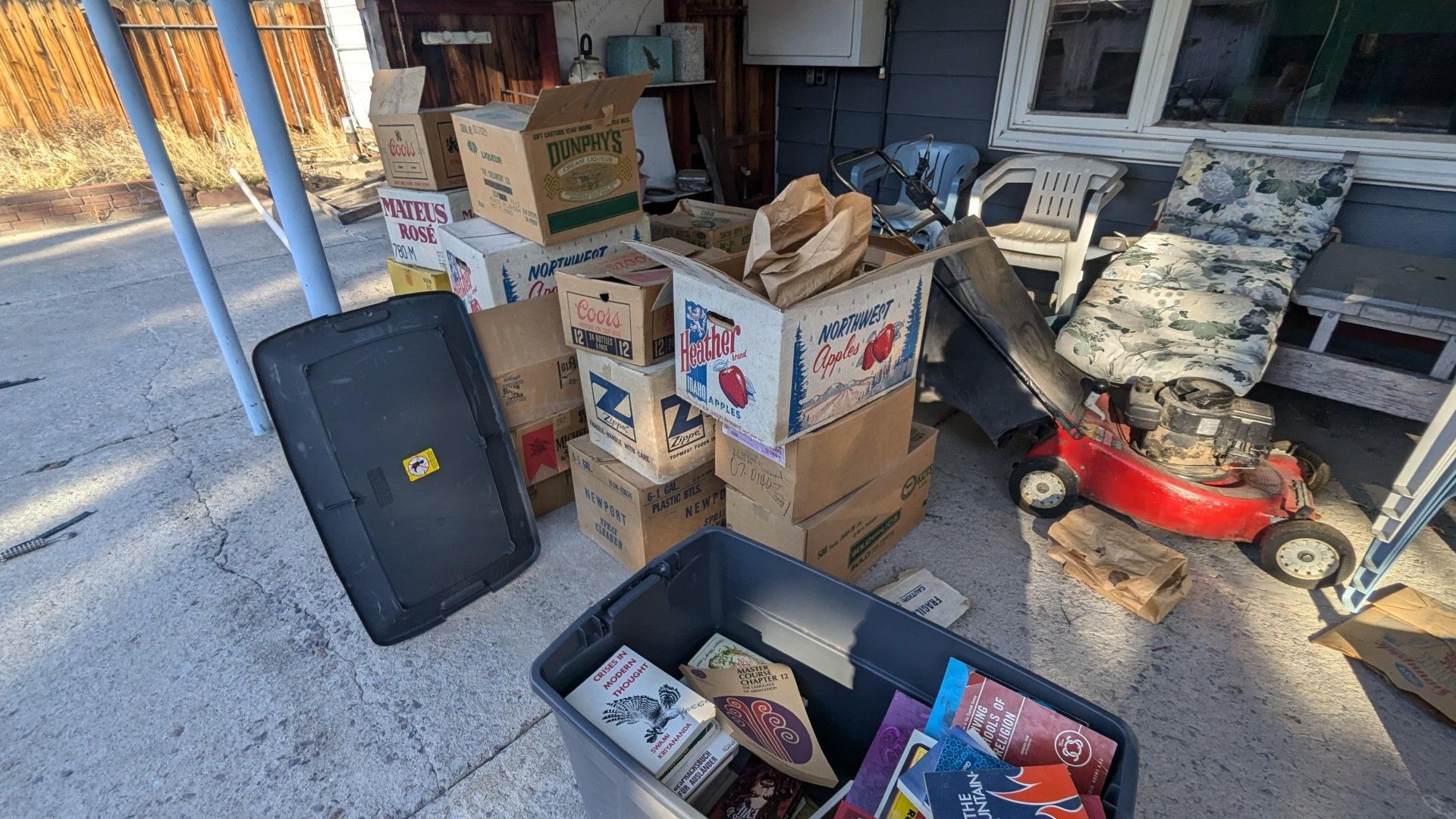 Пара нашла коробки со старыми книгами