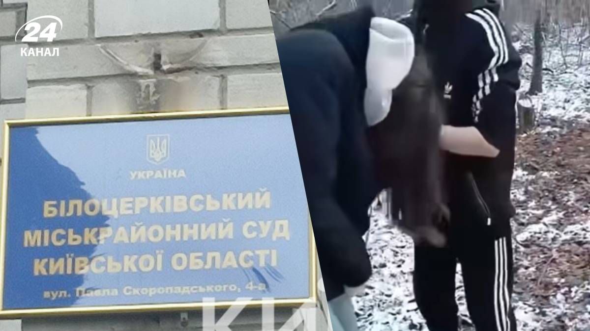 16-річний підозрюваний у побитті 12-річної дівчинки у Білій Церкві нестиме кримінальну відповіда - 24 Канал 16-річний підозрюваний у побитті 12-річної дівчинки у Білій Церкві нестиме кримінальну відповіда - 24 Канал