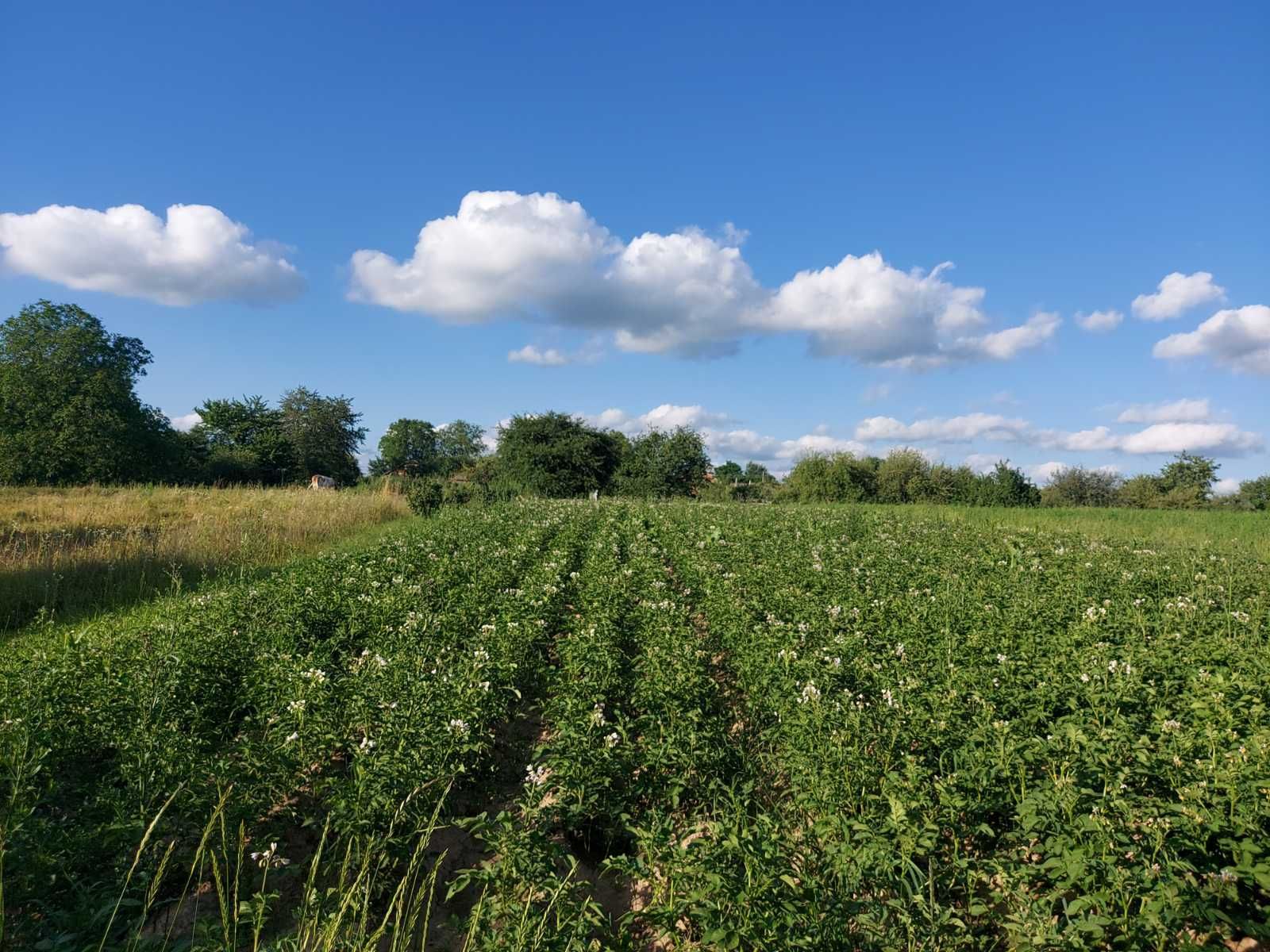 Як перевірити право власності на землю