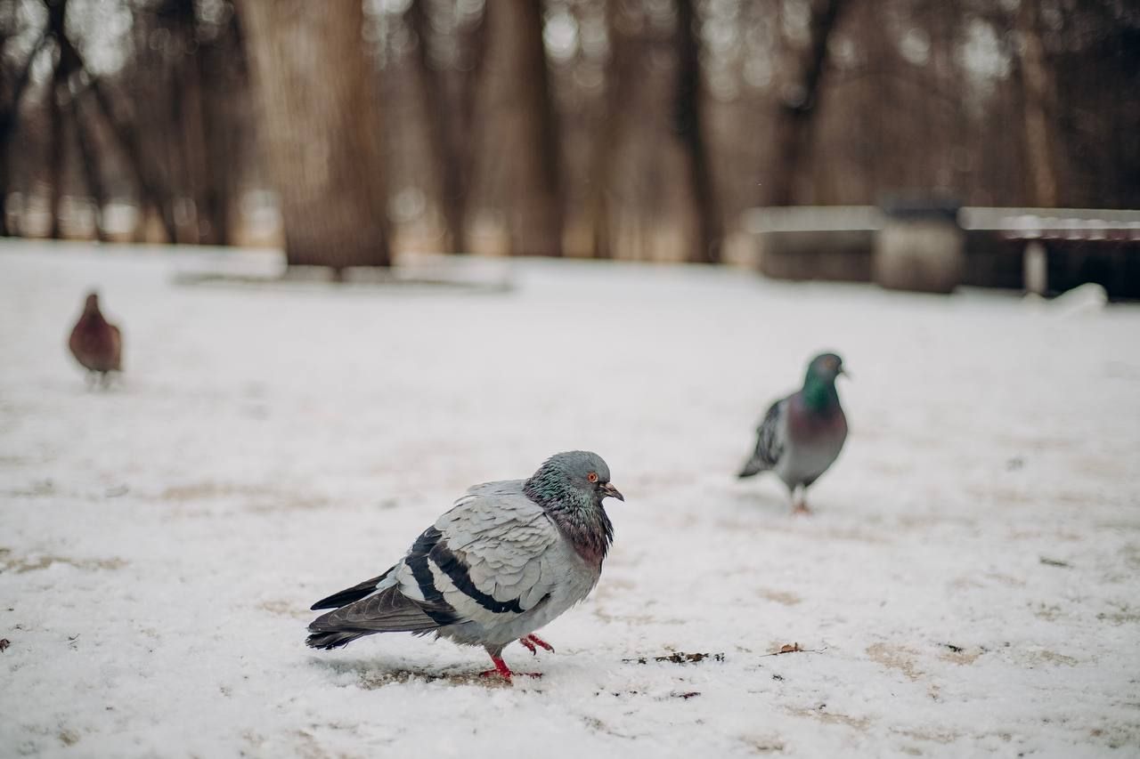 Більшість областей України днями накриють опади - 24 Канал Більшість областей України днями накриють опади - 24 Канал