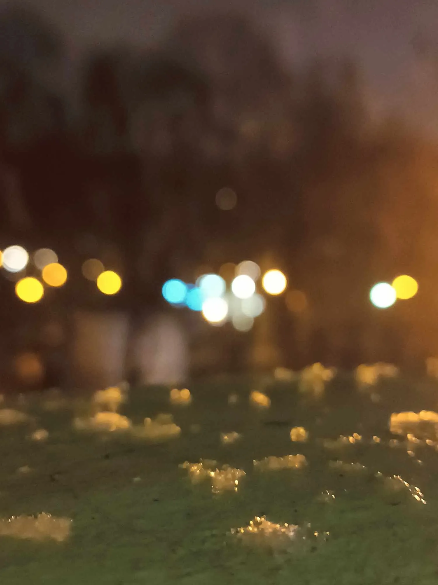 В Киеве был мокрый снег 22 января В Киеве был мокрый снег 22 января