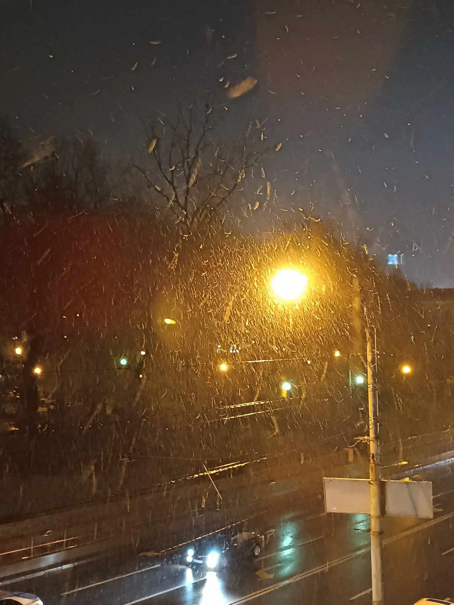 Мокрый снег в Киеве 22 января Мокрый снег в Киеве 22 января