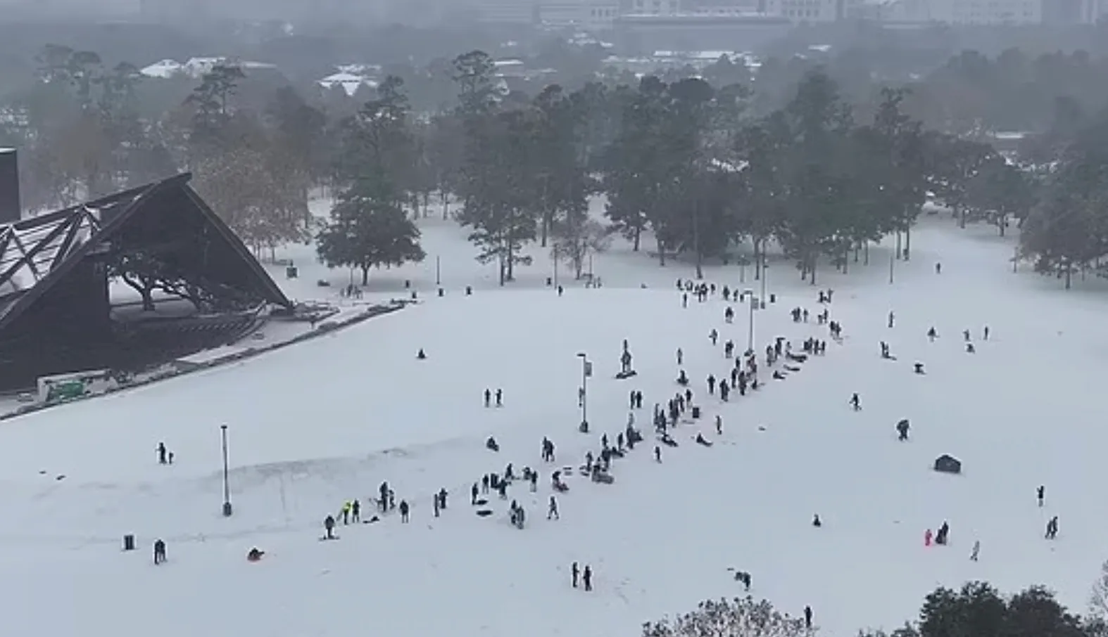 Люди вышли кататься на санях во Флориде