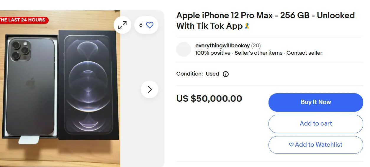 iPhone with TikTok iPhone with TikTok