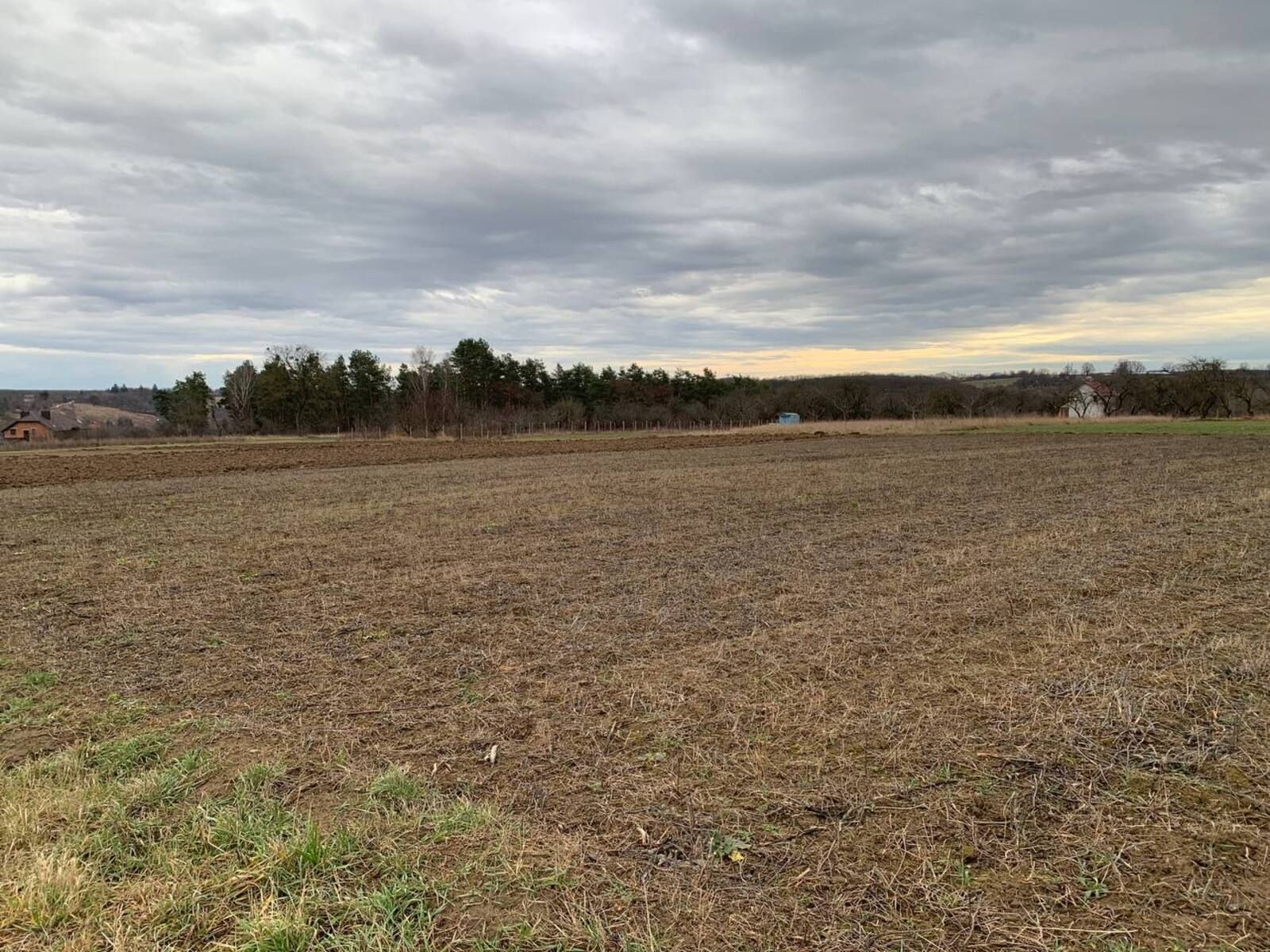 Как найти свободную землю Как найти свободную землю