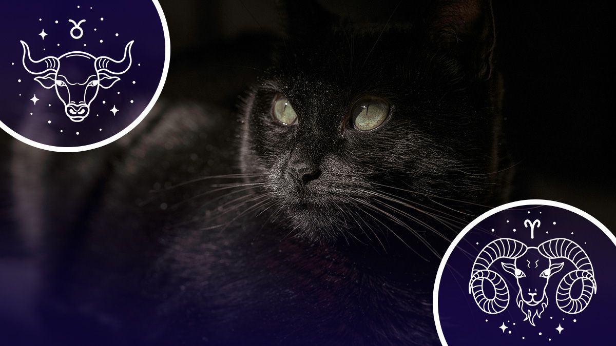 Для кого февраль начнется с черной полосы - гороскоп Для кого февраль начнется с черной полосы - гороскоп