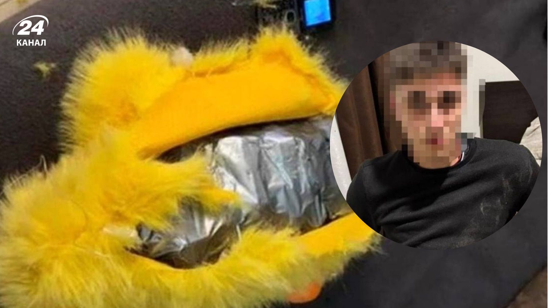 Сховали вибухівку в дитячу іграшку та планували підірвати наряд поліції – у Житомирі попередили - 24 Канал Сховали вибухівку в дитячу іграшку та планували підірвати наряд поліції – у Житомирі попередили - 24 Канал