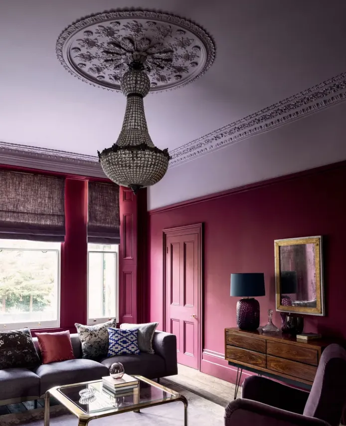 лаванда лаванда