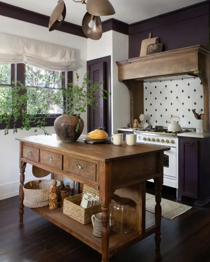 баклажановий колір баклажановий колір