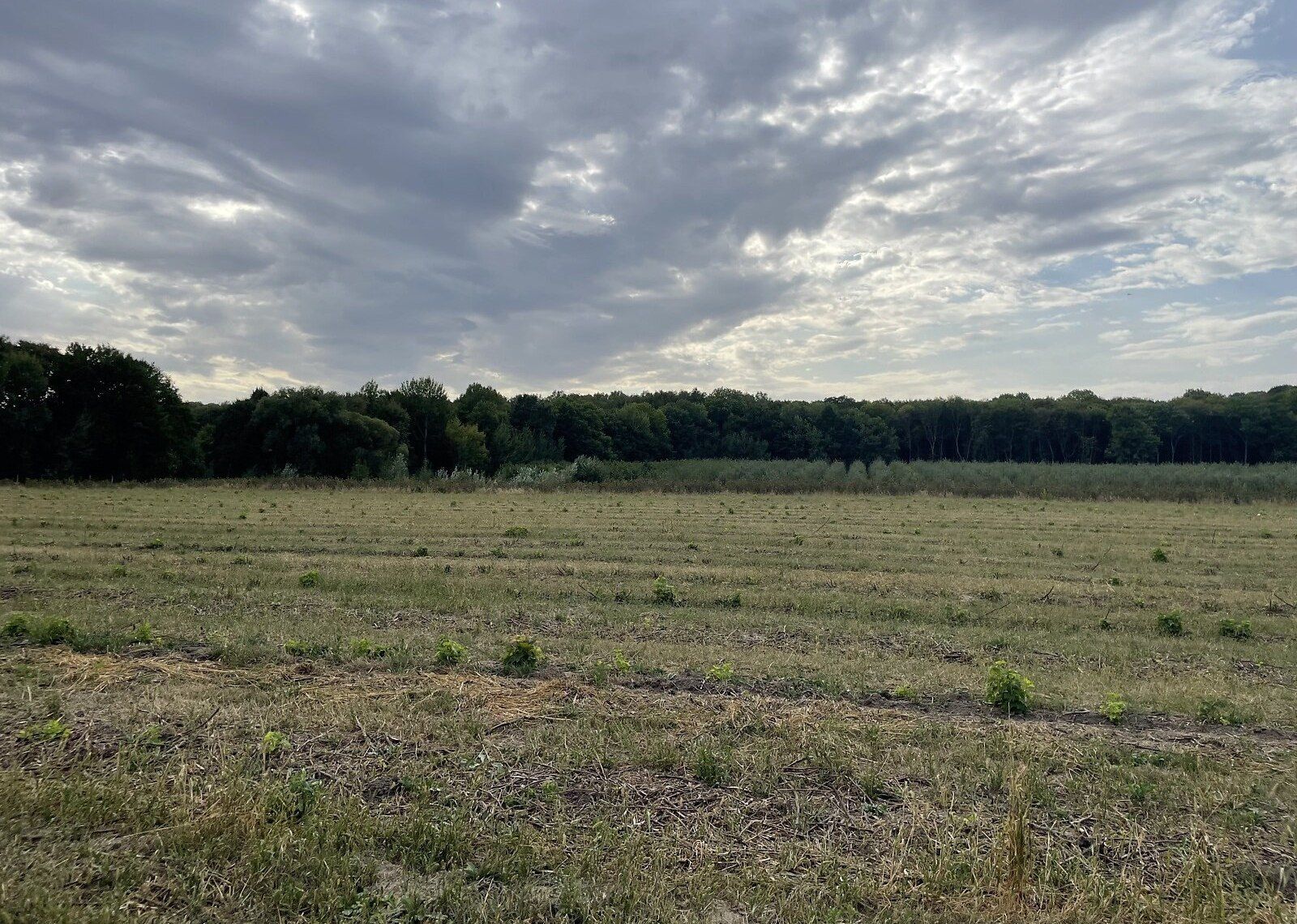 Скільки коштує пай у січні Скільки коштує пай у січні